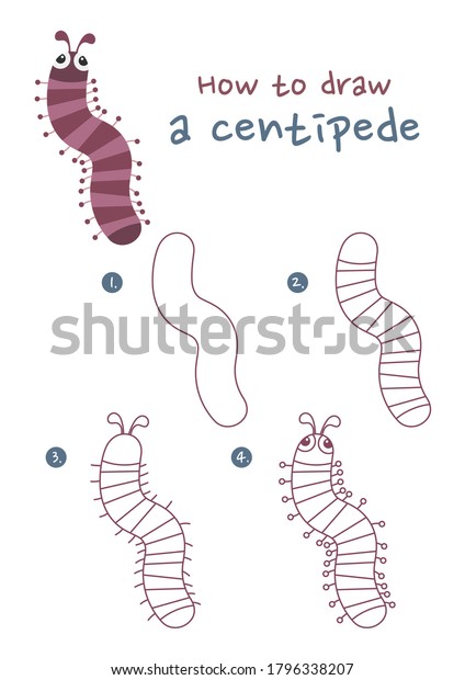 How Draw Centipede Vector Illustration Draw Stock Vector (Royalty Free