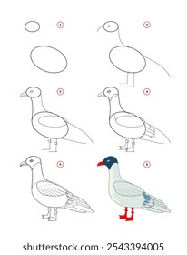 Como desenhar uma gaivota fofa. Página educacional para crianças. Criação passo a passo de ilustração animal. Planilha imprimível para o livro de exercícios da escola infantil. Educação online. Desenho vetorial.