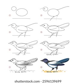 How to draw a cute magpie. Educational page for children. Creation step by step animal illustration. Printable worksheet for kids school exercise book. Online education. Vector drawing.