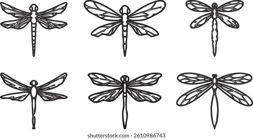 How To Draw A Dragonfly Step By Step