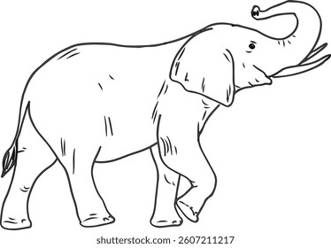  How to draw an Elephant step by step