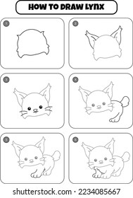 How to draw Lynx step by step for kids. draw animal step by step