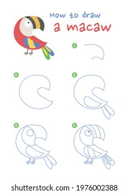 How to draw a macaw bird vector illustration. Draw a macaw step by step. Macaw bird drawing guide. Cute and easy drawing guidebook.