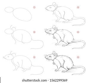 How to draw from nature sketch of cute rat. Creation step by step pencil drawing. Educational page for artists. School textbook for developing artistic skills. Hand-drawn vector image.