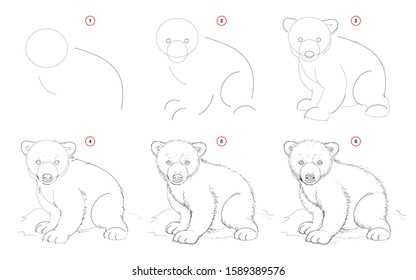 How to draw from nature sketch of white teddy bear. Creation step by step pencil drawing. Educational page for artists. School textbook for developing artistic skills. Hand-drawn vector image.