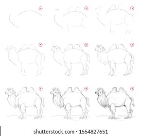 How to draw from nature step by step sketch of cute camel. Creation step-wise pencil drawing. Educational page for artists. School textbook for developing artistic skills. Hand-drawn vector image.