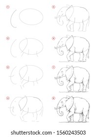 How to draw from nature step by step sketch of African elephant. Creation pencil drawing. Educational page for artists. School textbook for developing artistic skills. Hand-drawn vector image.