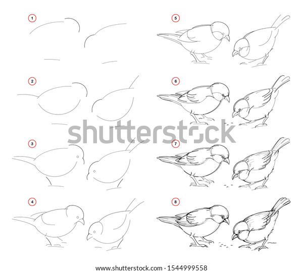 Featured image of post Pencil Drawings Of Nature Step By Step - Drawing is a complex skill, impossible to grasp in one night, and sometimes you just want to draw.