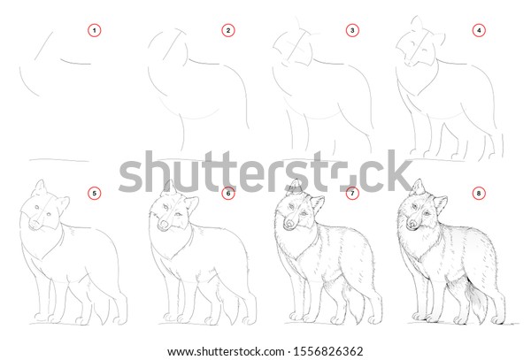 How Draw Nature Step By Step Stock Vector Royalty Free 1556826362