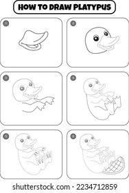 How to Draw Platypus Step by step drawing page for kids