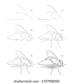 How to draw sketch of fly. Creation step by step pencil drawing of imaginary insect. Education for artists. Textbook for developing artistic skills. Hand-drawn vector on computer by graphic tablet.