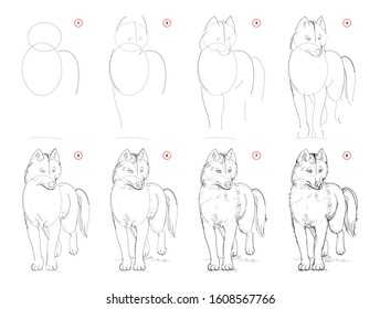 How to draw sketch of imaginary cute husky dog. Creation step by step pencil drawing. Education for artists. Textbook for developing artistic skills. Hand-drawn vector on computer by graphic tablet.