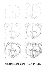 How to draw sketch of imaginary cute bear head. Creation step by step pencil drawing. Education for artists. Textbook for developing artistic skills. Hand-drawn vector on computer by graphic tablet.