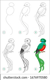 How to draw step by step cute bird quetzal. Educational page for kids. Back to school. Developing children skills for drawing and coloring. Printable worksheet for baby book. Vector cartoon image.