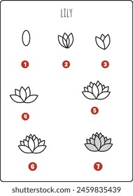 How to draw step by step Lily floral line art for kids drawing activity daisy simple easy level flower plants step-wise worksheet