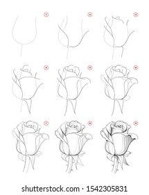 How to draw step-wise beautiful rose flower bud. Creation step by step pencil drawing. Educational page for artists. School textbook for developing artistic skills. Hand-drawn vector image.