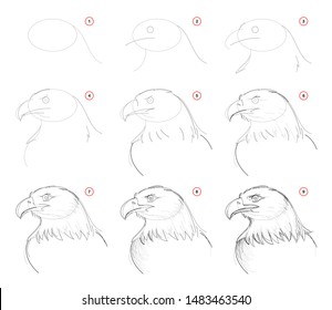 How to draw step  wise sketch imaginary cute eagles head  Creation step by step pencil drawing  Educational page  School textbook for developing artistic skills  Hand  drawn vector image 