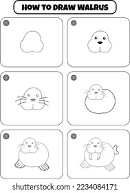 How to draw Walrus step by step for kids. draw animal step by step