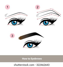 How to Eyebrows vector