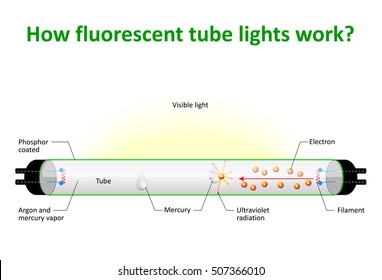 How fluorescent tube lights work. An electric current excites mercury vapour which produces ultraviolet light. Then a phosphor coating on the inside of the bulb to glow