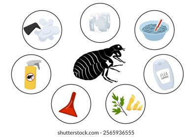 How to get rid of fleas, infographic with effective remedies against insect
