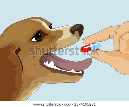 How to give a pill to a dog. Sick dog. Dog's health problems. The owner gives medicine to the dog. Healthcare illustration. Vector illustration.