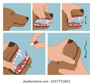 How give pill to dog step instruction healthcare medicine poster vector flat illustration. Pet canine domestic animal health care vitamin medication cure capsule giving veterinary education guidance