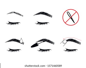 How to grow brows steps illustration