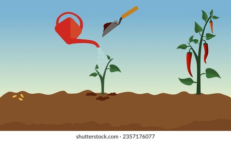 cómo cultivar planta paso a paso diseño de sitio web, sitio web de la industria de la agricultura, diseño de encabezados, plantar tutorial de verduras