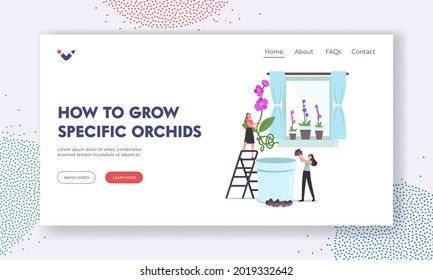 How to Grow Specific Orchids Landing Page Template. Tiny Female Characters Planting Huge Orchid Phalaenopsis Flowers in Pot. People Care of Exotic Blossoms on Windowsill. Cartoon Vector Illustration