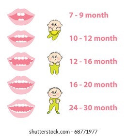 how to grow your baby's teeth