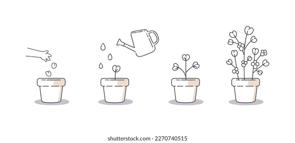 How to grown plants instruction. Minimalist set of icons about planting and plant growth process. From seeding to result.