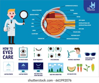how to health care eyes. infographic illustration.
banner. flyer. brochure. template. layout.
vector flat icons design.
healthcare concept. 