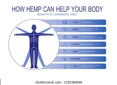 how hemp can help your body