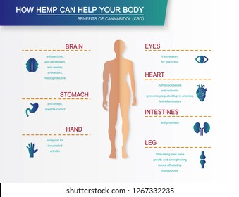 how hemp can help your body benefits of cannabinol CBD 