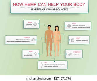 how hemp can help your body benefits of cannabis