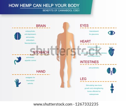how hemp can help your body benefits of cannabinol CBD 