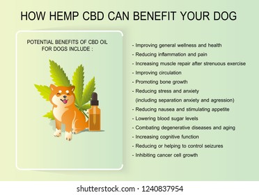 how hemp cbd can benefit your dog and potential benefits of cbd oil for dogs 