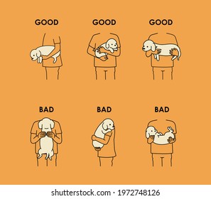 How to hold dog right and wrong.
