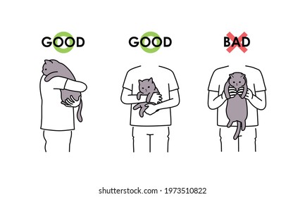 How to hug a cat. good and bad examples.