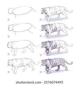 How to learn to draw fantasy sketch of a white tiger. Creation step by step watercolor painting. Educational page for artists. Textbook for developing artistic skills. Vector illustration.