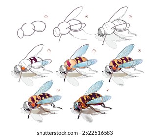 Cómo aprender a dibujar un boceto de una abeja. Creación paso a paso de pintura de acuarela. Página educativa para artistas. Libro de texto para el desarrollo de habilidades artísticas. Ilustración vectorial.