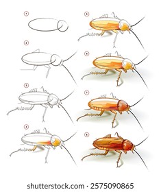 How to learn to draw sketch of a cockroach. Creation step by step watercolor painting. Educational page for artists. Textbook for developing artistic skills. Vector illustration.