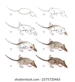 How to learn to draw sketch of a cute little house shrew. Creation step by step watercolor painting. Educational page for artists. Textbook for developing artistic skills. Vector illustration.