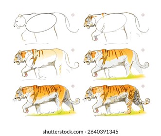 How to learn to draw a sketch of an imaginary Bengal tiger. Creation step by step watercolor painting. Educational page for artists. Textbook for developing artistic skills. Vector illustration.