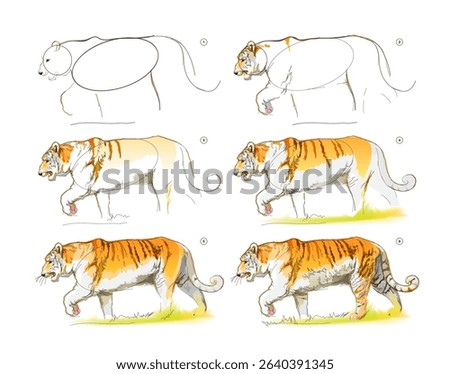 How to learn to draw a sketch of an imaginary Bengal tiger. Creation step by step watercolor painting. Educational page for artists. Textbook for developing artistic skills. Vector illustration.