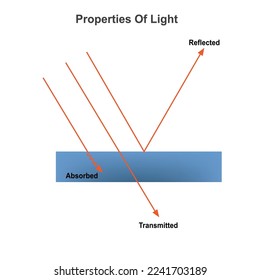 How light works, properties of light reflection,transmission and absorption, physics vector illustration