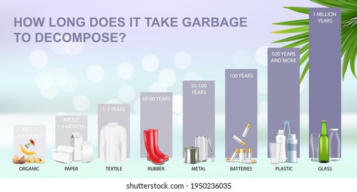 How long does it take garbage to decompose in the environment, vector infographic. Waste decomposition timeline. Ecology. Global environmental problems.