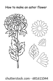  how to make an aster flower. outline scheme. Black and white colors. Vector illustration isolated on white background. Silk floristics. Flower, petals and leaf