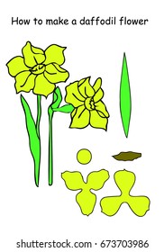 how to make a Daffodil flower. outline scheme. Yellow and green colors. Vector illustration isolated on white background. Silk floristics. Flower, petals and leaf